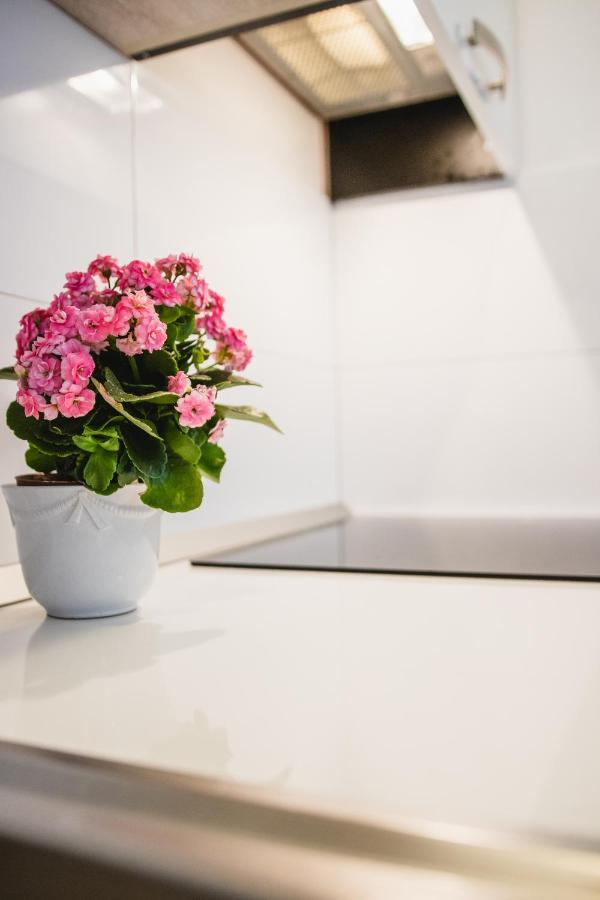 Apartmani Tena Selce Εξωτερικό φωτογραφία